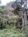 12-Kokoda_and_044
