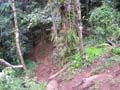 16-Kokoda_max_050