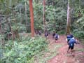 18-Kokoda_max_052