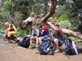 18-Kokoda_viv_031