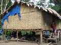 29-Kokoda_max_061