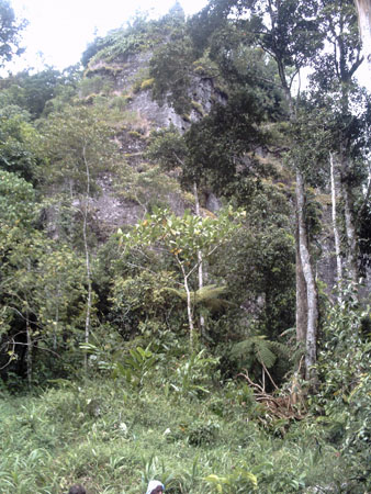 12-Kokoda_and_044
