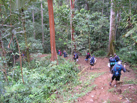 18-Kokoda_max_052