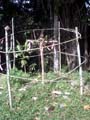 Kokoda_and_081