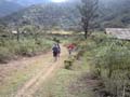 Kokoda_and_100