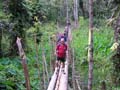 Kokoda_max_071