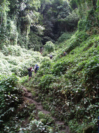 Kokoda_viv_059