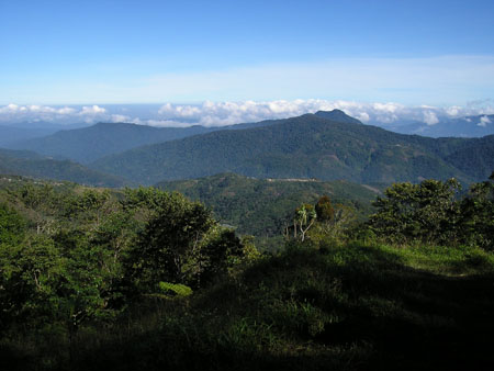 Kokoda_max_133
