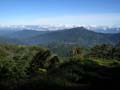 Kokoda_max_133