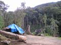 Kokoda_max_151