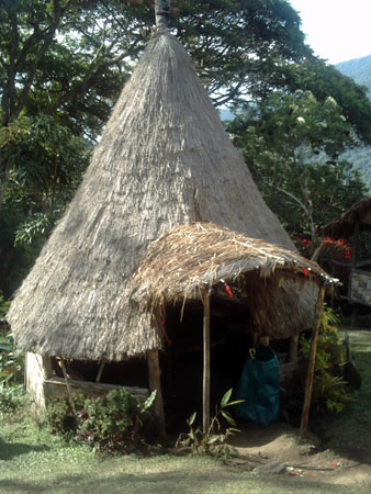 Kokoda_and_199