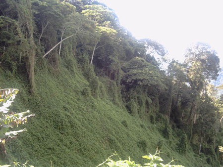 Kokoda_and_200
