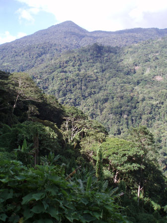 Kokoda_viv_105