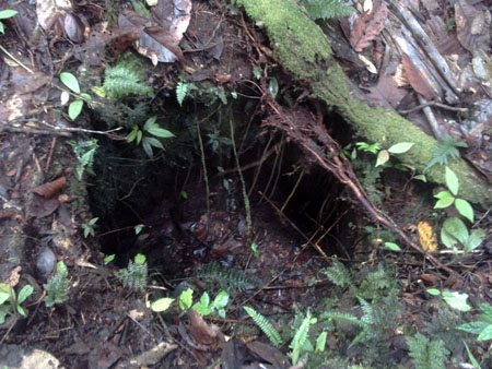 Kokoda_and_235