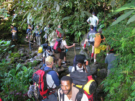 Kokoda_max_201