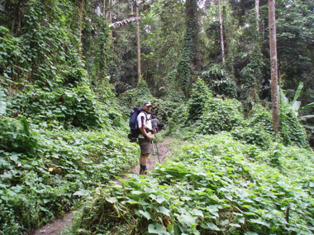 Kokoda_viv_132