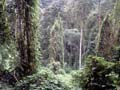 Kokoda_and_237