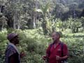 Kokoda_and_239