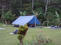 Kokoda_viv_146