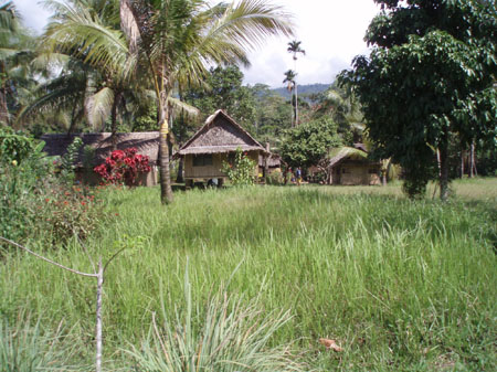 Kokoda_viv_258