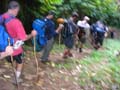 Kokoda_max_257